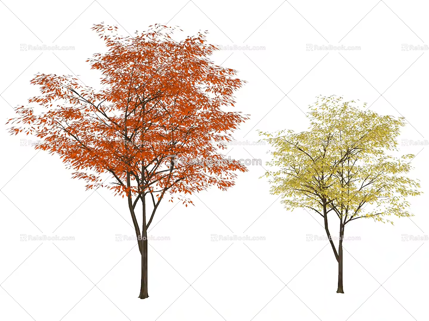 Modern Maple Tree Maple Leaf Tree Autumn Landscape Plant Tree 3d model