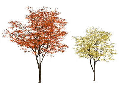 Two Arbor Trees With Red And Yellow Autumn Leaves In Scenic Landscape 3d model