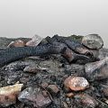 Burnt Wood And Natural Stones In Campfire Remains With Ash On Ground