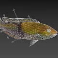 Vibrant Colorful Aquatic Fish With Yellow Green Blue Purple Body Fins And Tail