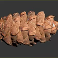 Brown Textured Pine Cone Plant Surface Details Close Up Studio High Definition 3d model