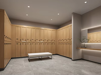 Modern Wooden Locker Room With Bench Lighting Mirror And Plant Decoration 3d model
