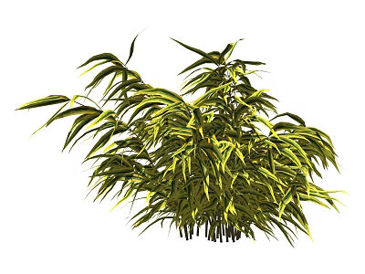 Lush Green Shrub With Vibrant Leafy Foliage For Outdoor Garden Landscaping 3d model