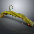Curved Wood Structure Covered With Green Moss And Small Orange Growths With Hanging Tendrils