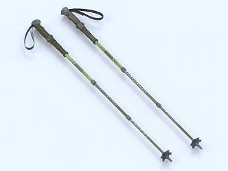 Hiking sticks, climbing sticks, crutches 3d model