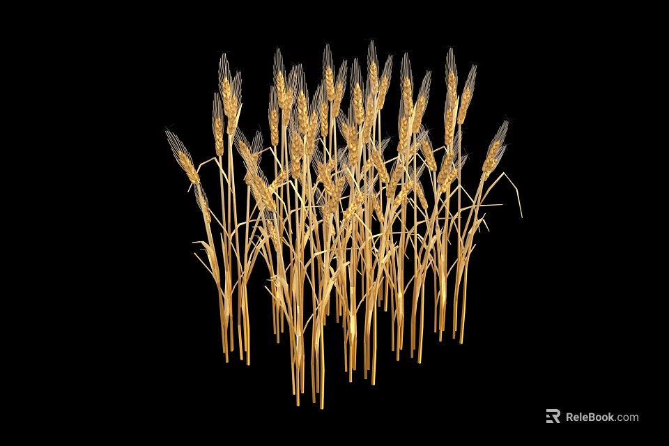 Golden Ripe Wheat Ears Isolated On Black Background For Agricultural Visual 3d model 