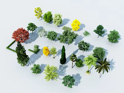 Various Types of Arbor Trees with Different Colors and Foliage for Landscape Design 3d model