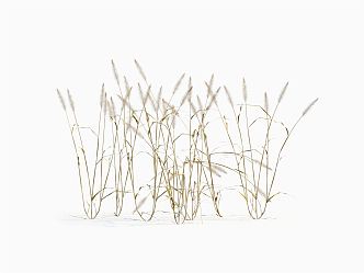 modern grass withered grass 3d model