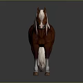 Brown Horse With White Mane And White Hooves Standing On Gradient Gray Background