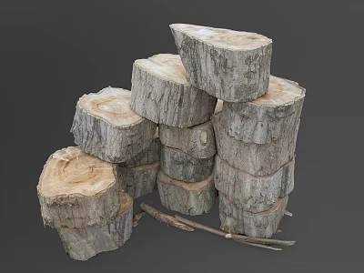 Natural Plant Tree Stumps of Various Sizes Stacked Together with Small Twigs 3d model
