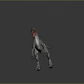 Realistic Velociraptor Dinosaur Model With Grey Body Blue Stripes And Open Mouth