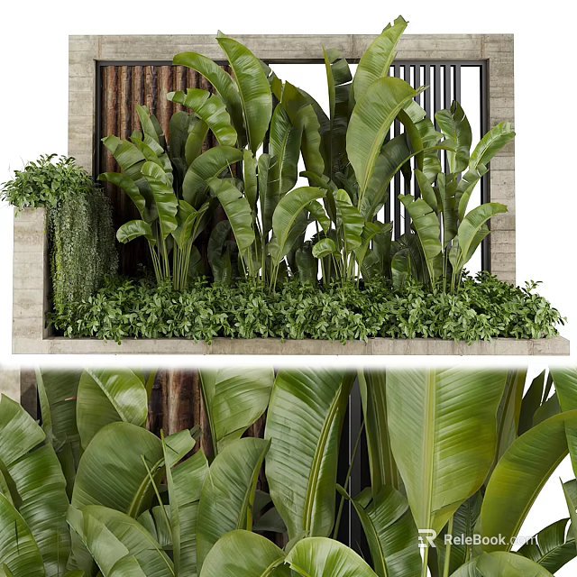 Vertical Garden Living Plant Wall With Various Green Plants And Large Leafy Foliage 3d model 
