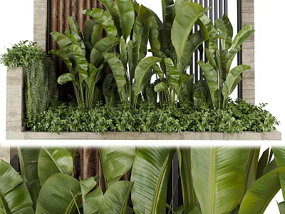 Vertical Garden Living Plant Wall With Various Green Plants And Large Leafy Foliage 3d model