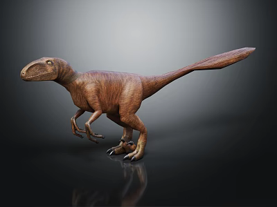 3D Velociraptor Character Model in Standing Pose with Brown Skin Long Tail and Dark Reflection 3d model