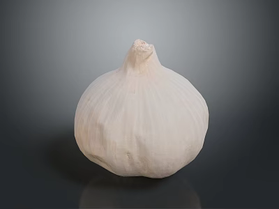 Fresh Whole Garlic Bulb With White Skin On Dark Background 3d model