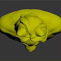 3D Anthropomorphic Cat Character With Green Hair White Brown Torso Sculpture