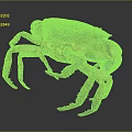 Vivid Brown And Purple Crab With Detailed Claws And Legs On Dark Background