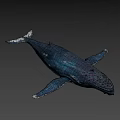 Realistic Blue White Whale with Textured Skin in Gradient Background