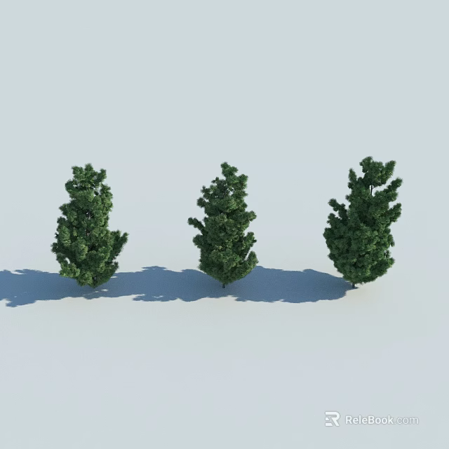 Three Green Shrubs Standing On Light Gray Background With Shadows 3d model