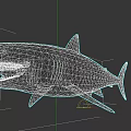 Marine Animal 3D Shark Model With Open Mouth And Gray Background