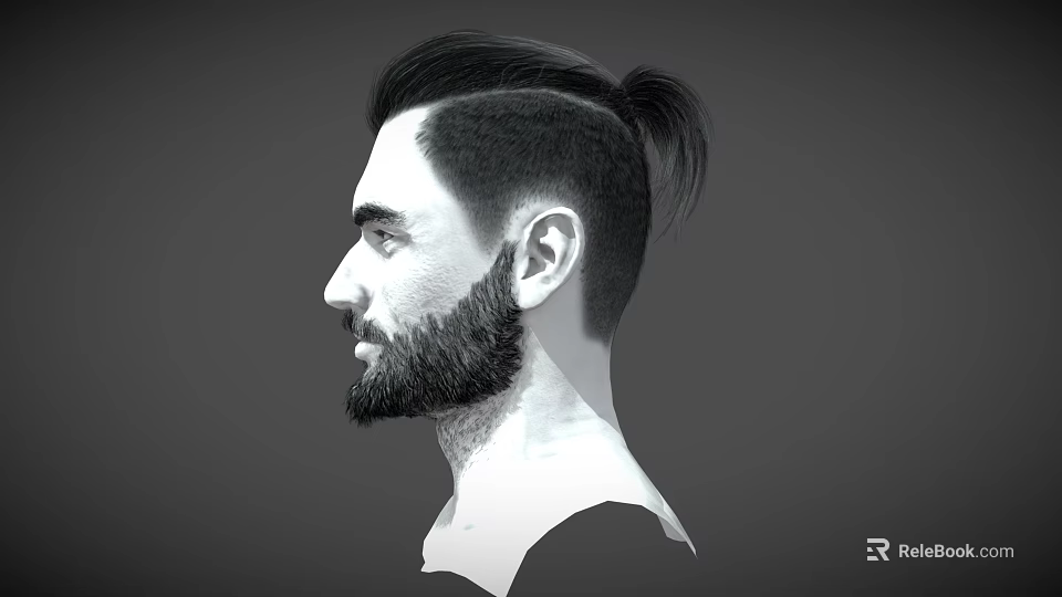 Side Profile Of Man With Short Sides Long Top Ponytail And Beard 3d model 