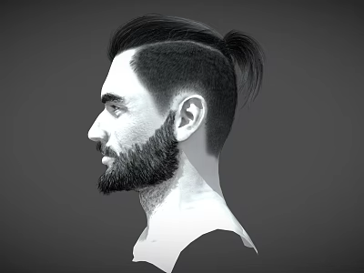 Side Profile Of Man With Short Sides Long Top Ponytail And Beard 3d model