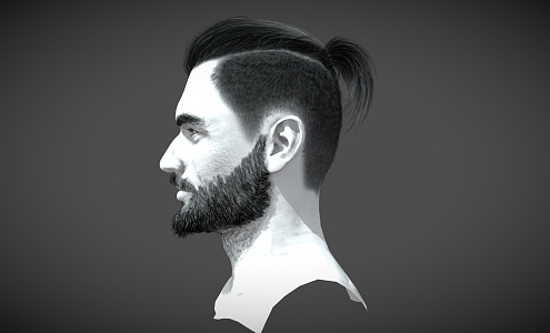 Men's Hairstyle Hair Wig Hairstyle Short Hair Men Anime Hair Braids Beard 3d model