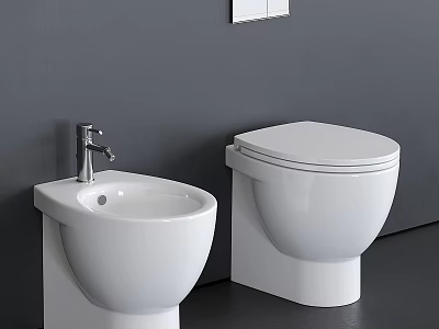 Modern White Toilet With Adjacent Washbasin Against Grey Wall And Dark Floor 3d model