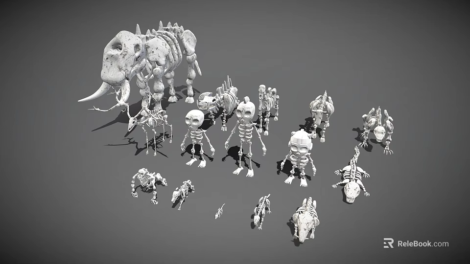 White Skeleton Models With Elephant Human Dinosaur And Small Animal Figures 3d model