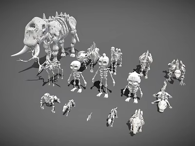 White Skeleton Models With Elephant Human Dinosaur And Small Animal Figures 3d model