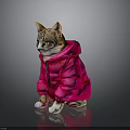 Cute Tabby Cat Wearing Bright Pink Puffer Coat Sitting On Shiny Dark Surface