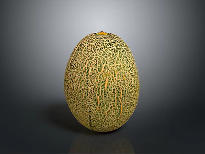 Fresh Ripe Cantaloupe With Yellow Green Netted Skin On Dark Reflective Surface 3d model