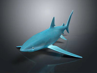 Blue Shark 3D Model With Sleek Body Distinctive Fins And Long Tail On Dark Background 3d model