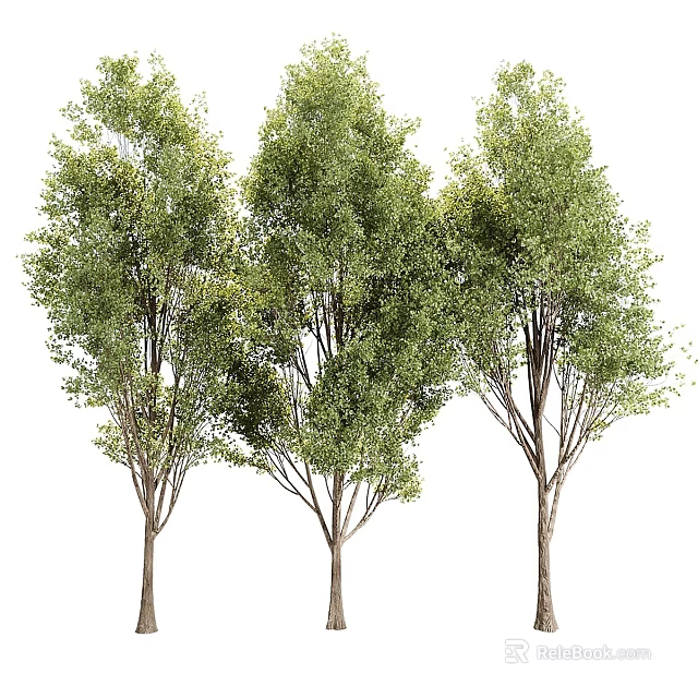 Tree Pit Design with Three Lush Trees for Urban Green Landscaping 3d model 