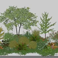 Various Types of Shrubs in Garden Landscape With Green Foliage and Colorful Flowers