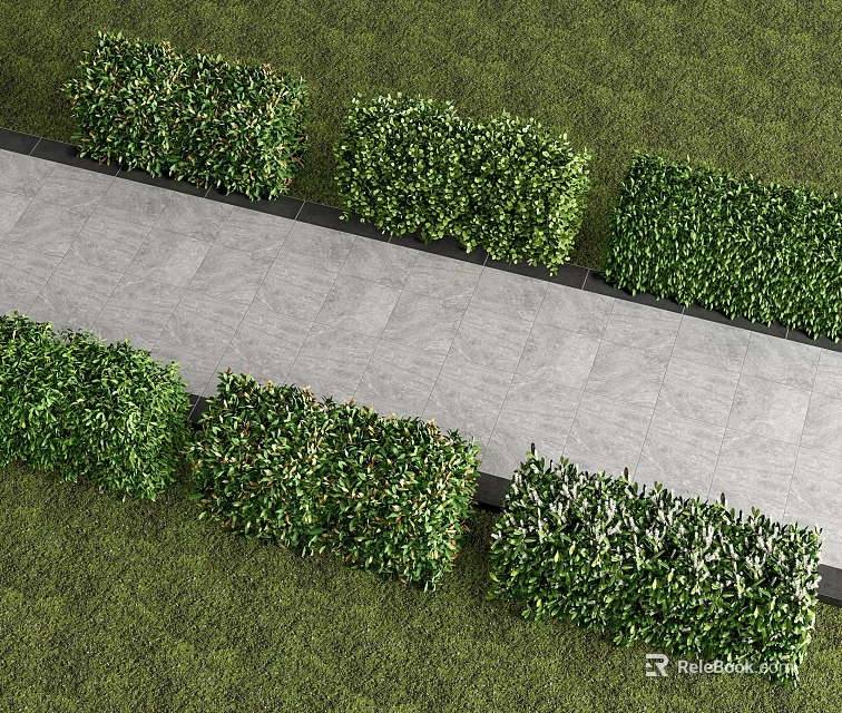 Neatly Trimmed Hedge Along Stone Path With Lush Green Grass Surroundings 3d model 