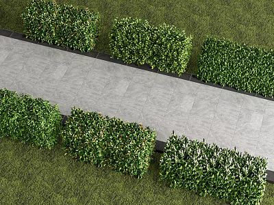 Neatly Trimmed Hedge Along Stone Path With Lush Green Grass Surroundings 3d model