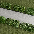Neatly Trimmed Hedge Along Stone Path With Lush Green Grass Surroundings
