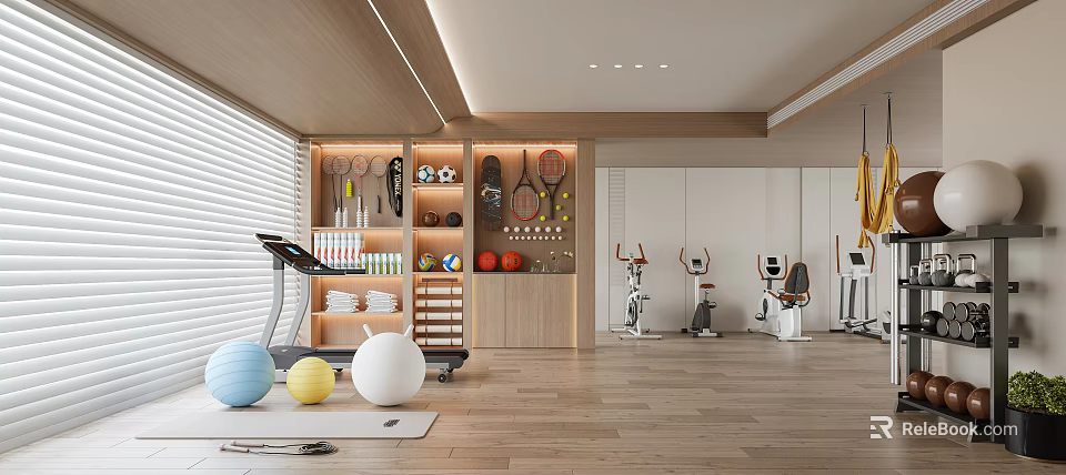 Spacious Home Gym With Treadmill Fitness Balls And Exercise Bikes 3d model 