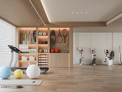 Spacious Home Gym With Treadmill Fitness Balls And Exercise Bikes 3d model