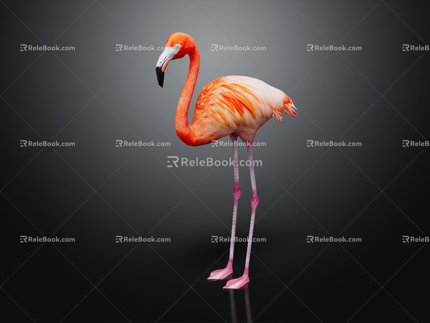 Modern Flamingo Firebird Cartoon Firebird 3d model