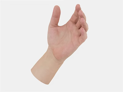 Human Hand Close Up View With Palm Up Position On White Background 3d model