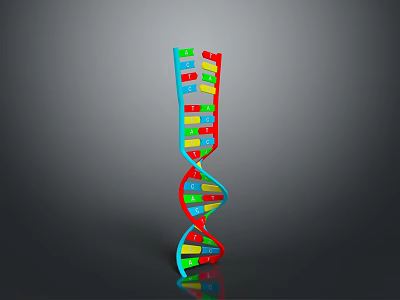 Colorful Double Helix DNA Model As Educational Decorative Household Item 3d model
