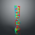 Colorful Double Helix DNA Model As Educational Decorative Household Item 3d model