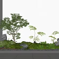 modern landscape sketch courtyard sketch plant pile landscape tree fern stone pebble bryophyte combination 3d model