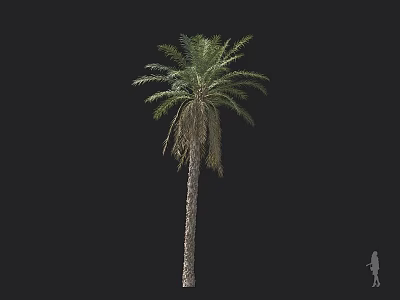 The Modern Tree 3d model The Modern Tree 3d model