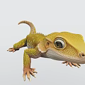 Yellow Reptile Gecko Lizard With Green Spots Large Eyes Scaled Body Curled Tail