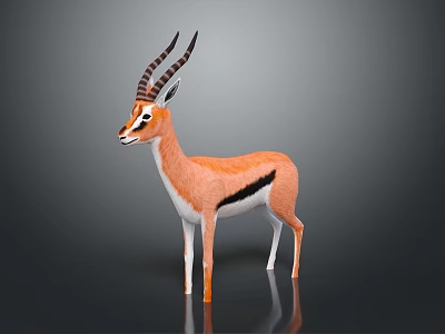 Gazelle With Brown And White Body Black Stripes Long Curved Horns Standing On Gray Background 3d model