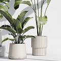 Lush Home Garden With Lush Green Leafy Plants In Various Decorative Ceramic Pots