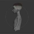 Anatomical 3D Head Model Showing Face Organs And Hair Structure Details
